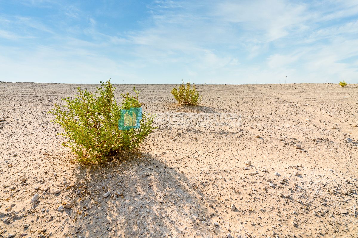 Image - West Yas, Yas Island, Abu Dhabi | Project - Land Residential