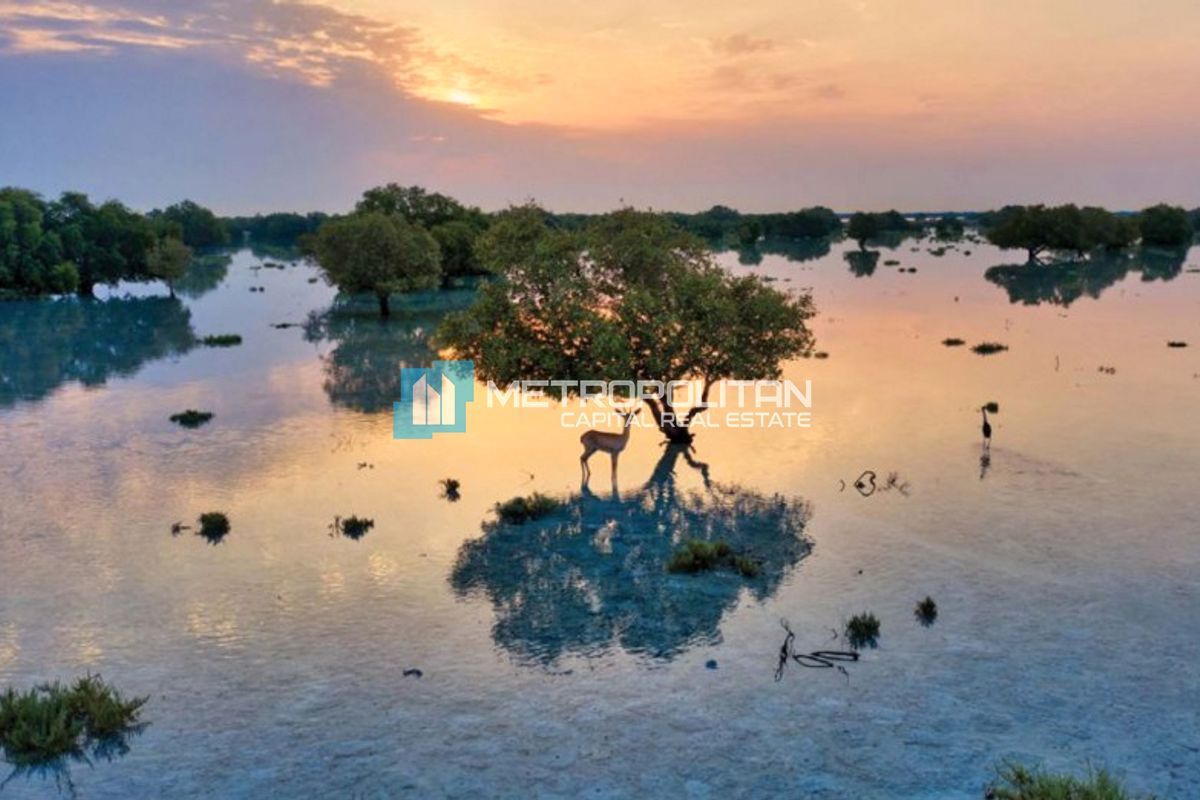 Image - Al Jubail Island, Al Jubail Island, Абу-Даби | Project - Вилла