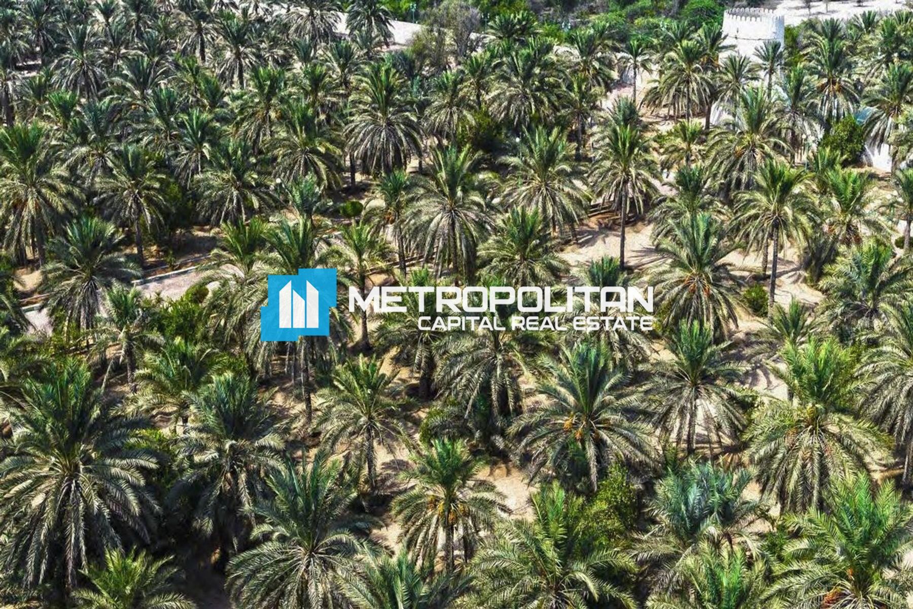 أرض سكنية ستوديو للبيع في غنتوت – MCS-45322 photo-2