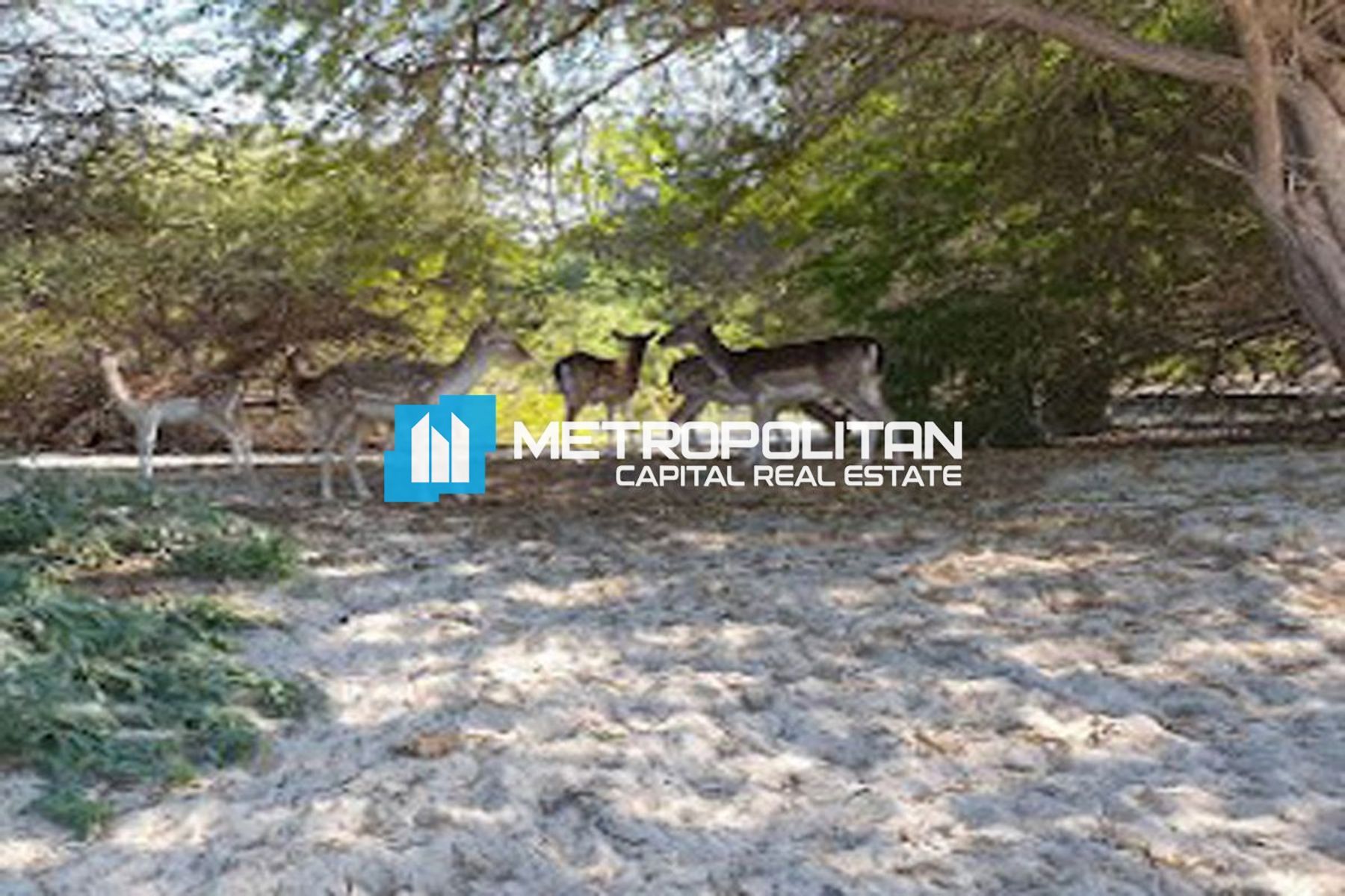 أرض سكنية ستوديو للبيع في غنتوت – MCS-45322 photo-3