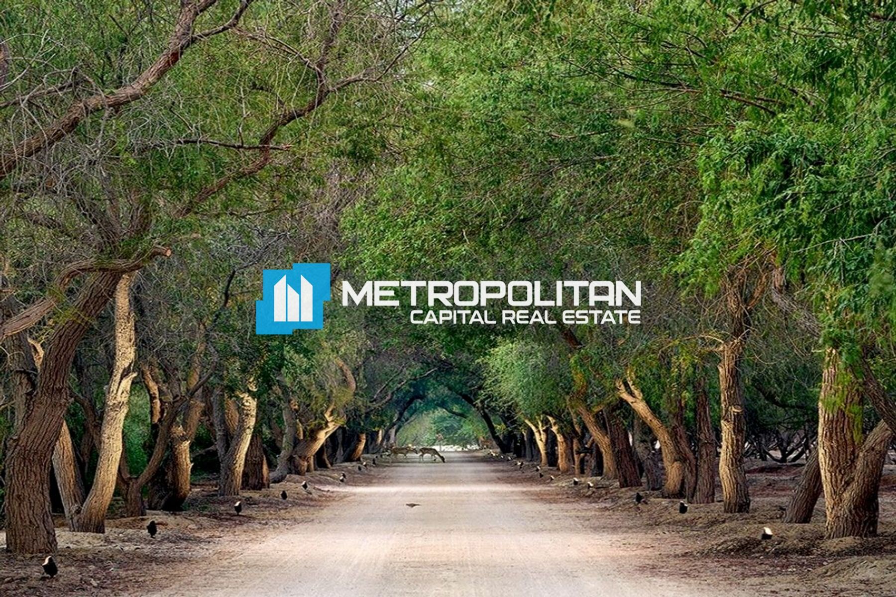 أرض سكنية ستوديو للبيع في غنتوت – MCS-45322 photo-5