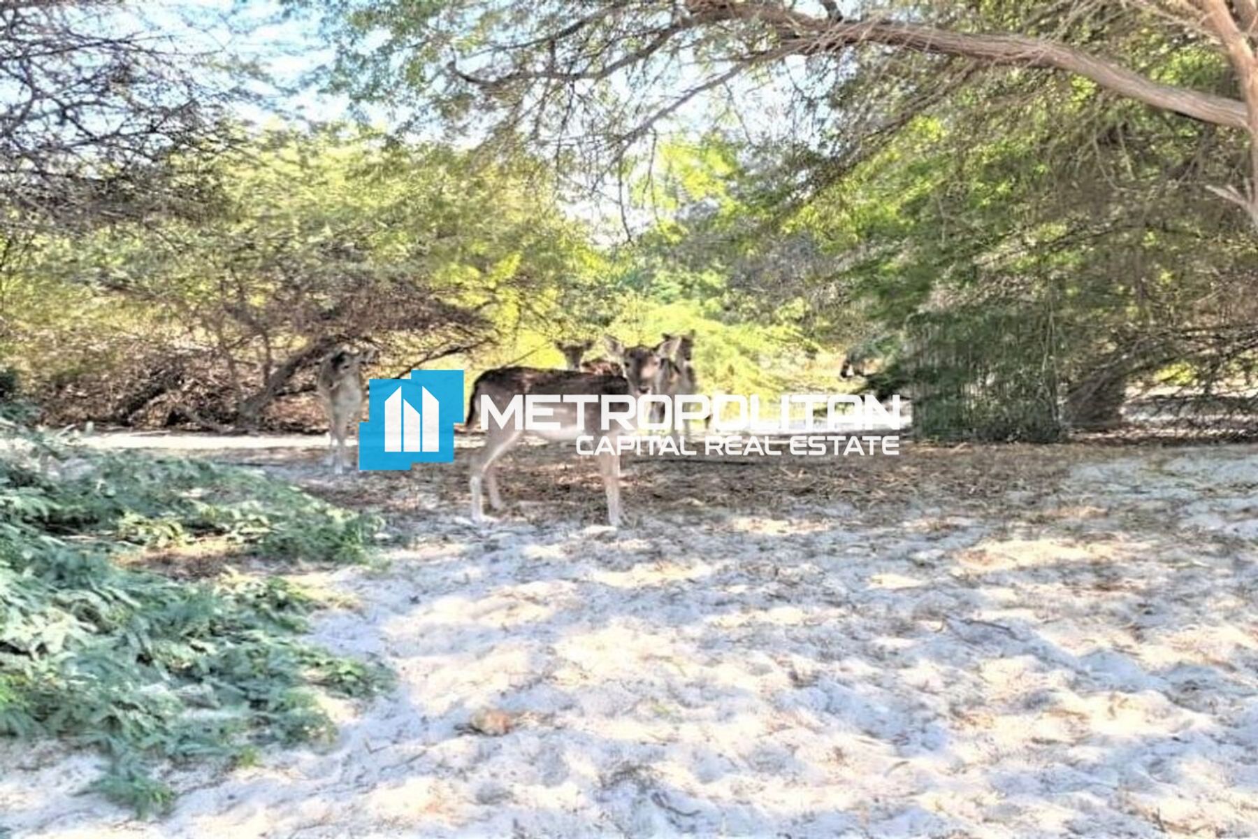 أرض سكنية ستوديو للبيع في غنتوت – MCS-45322 photo-6