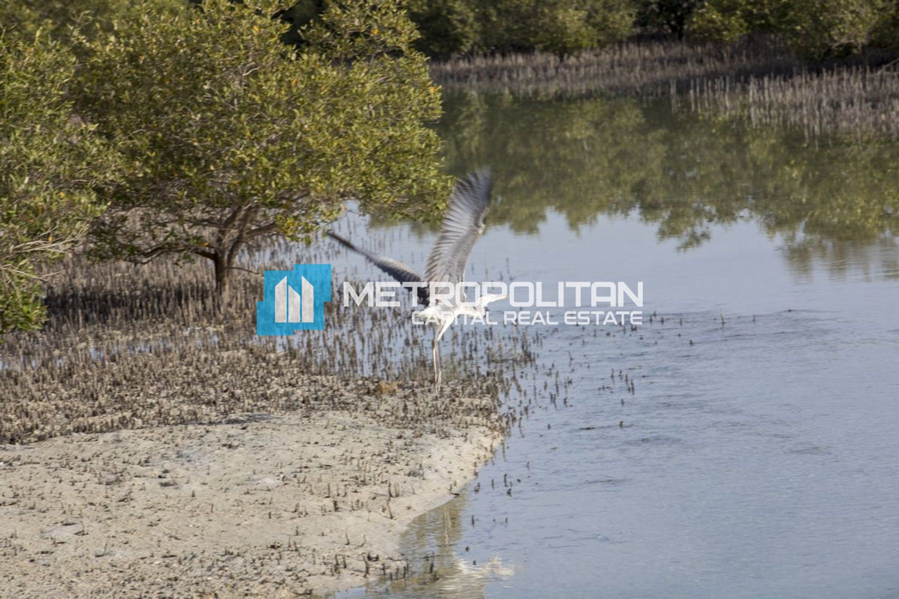 Image - Nad Al Dhabi, Al Jubail Island, Abu Dhabi | Project - ارض سكنية