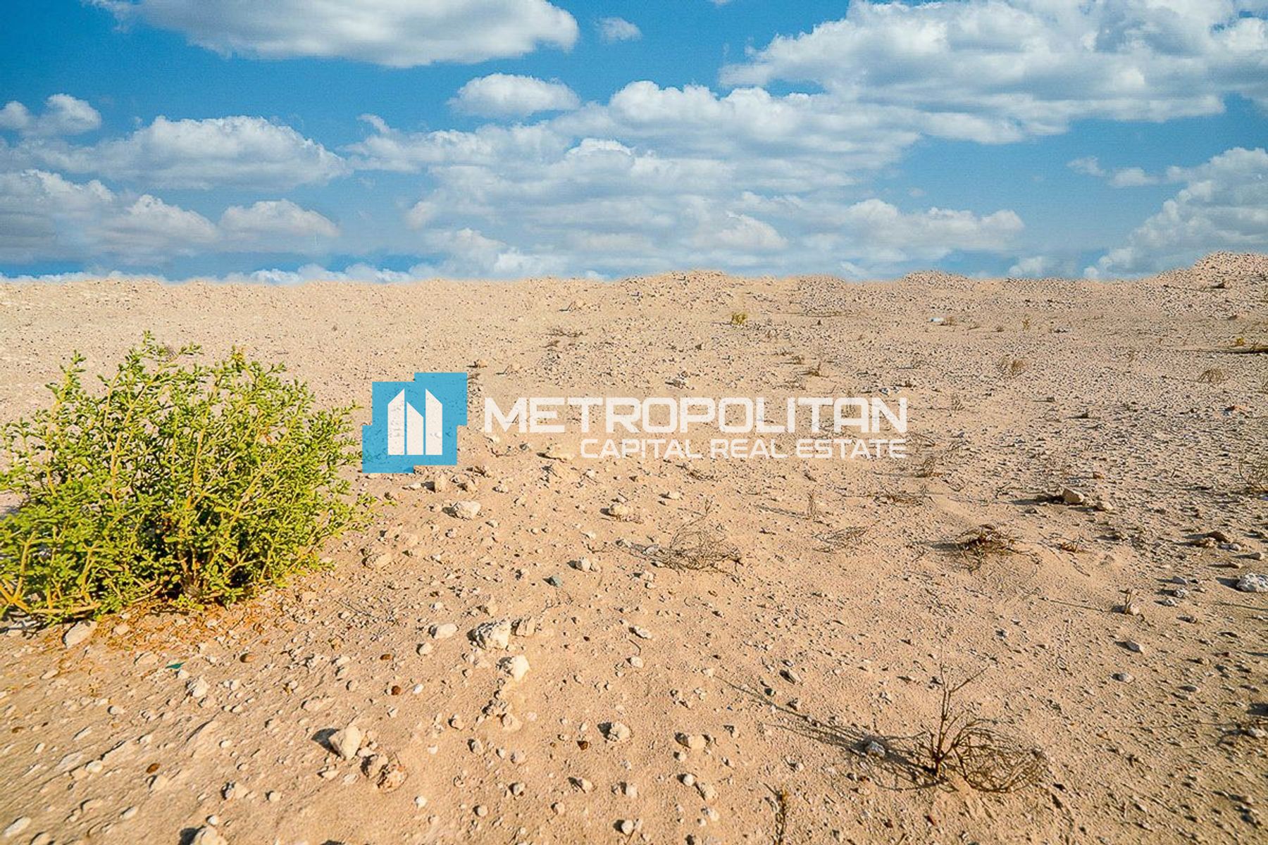 Image - Saadiyat Reserve, Saadiyat Island, Abu Dhabi | Project - ارض سكنية