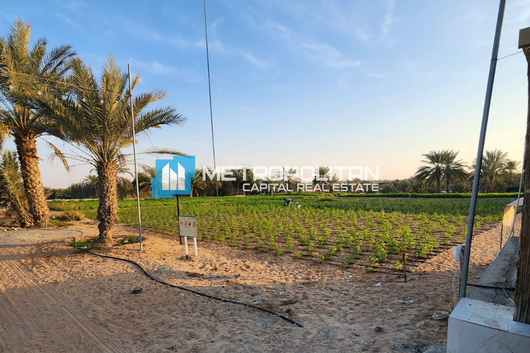Image - Al Nahda, Al Nahda, Абу-Даби | Project - Land Agricultural
