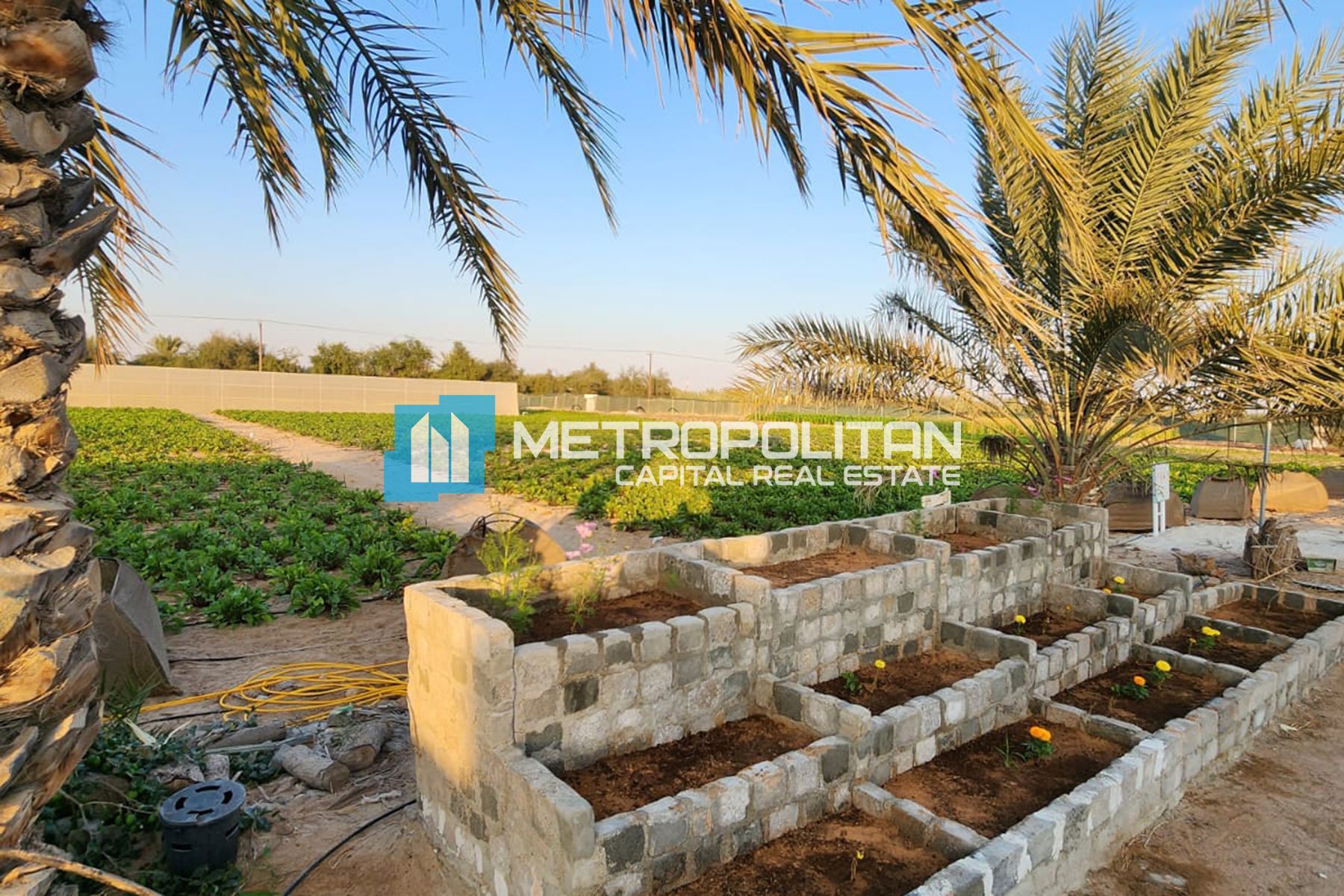 Image - Al Nahda, Al Nahda, Abu Dhabi | Project - Land Agricultural