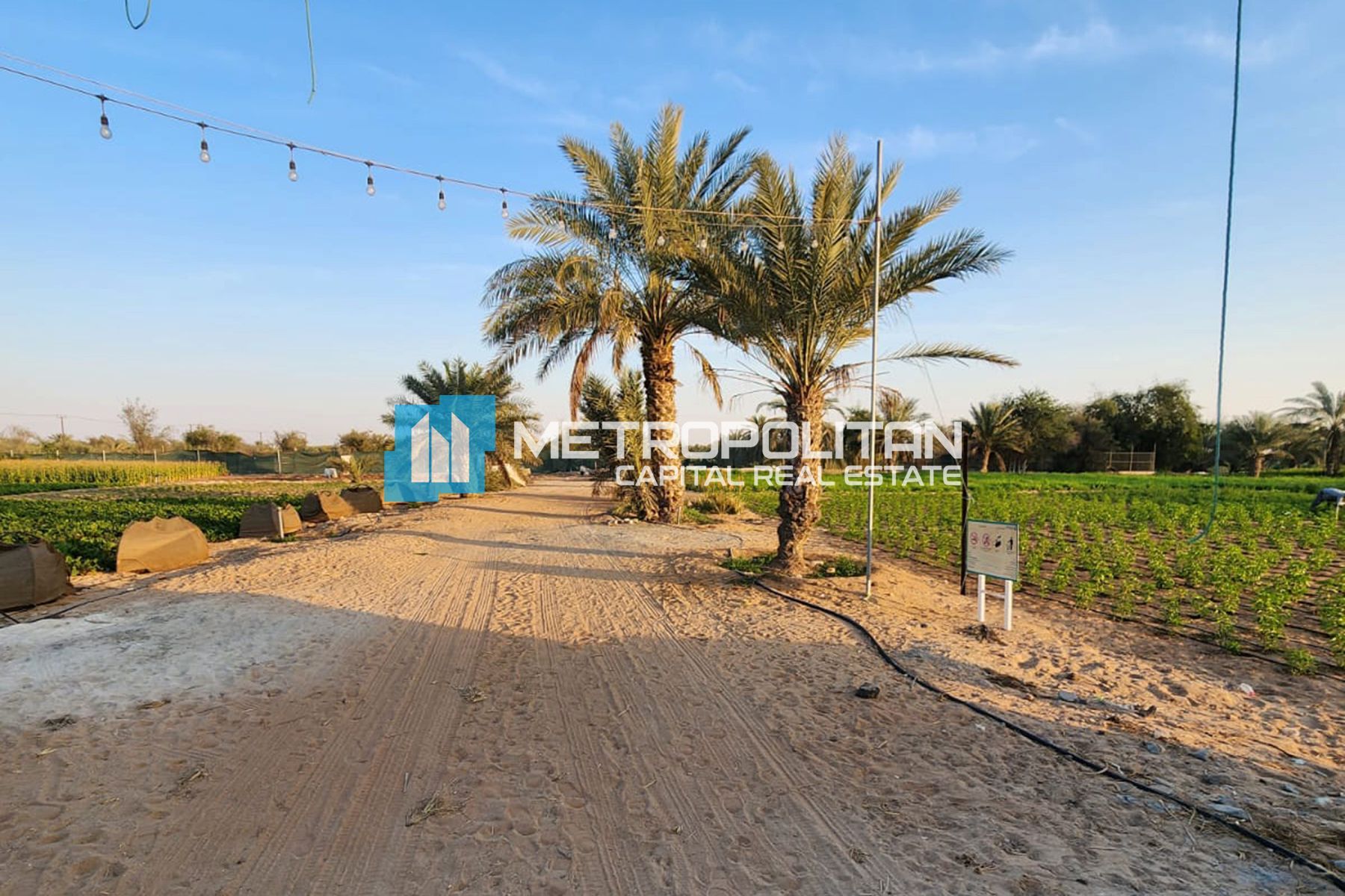 Image - Al Nahda, Al Nahda, Abu Dhabi | Project - Land Agricultural